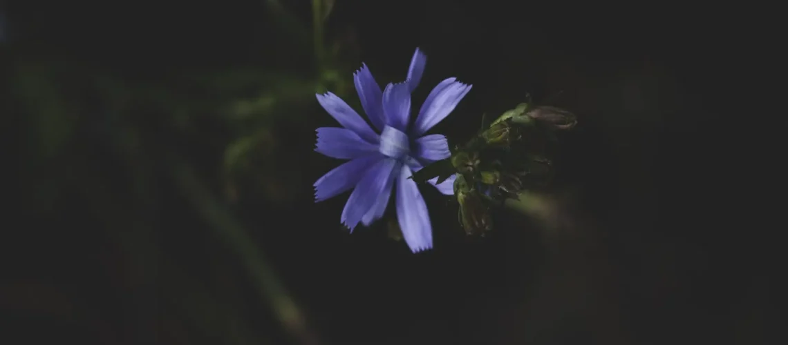 christina-rumpf-eT9zNomNDNI-unsplash-scaled