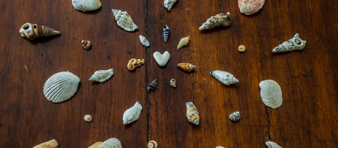 sahra-peterson-TZchARFb8Xw-unsplash-scaled