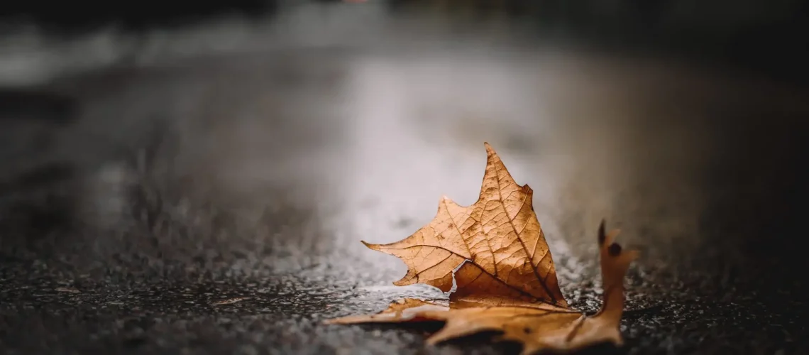 tommaso-pecchioli-4mPNlSZp9Wo-unsplash-scaled